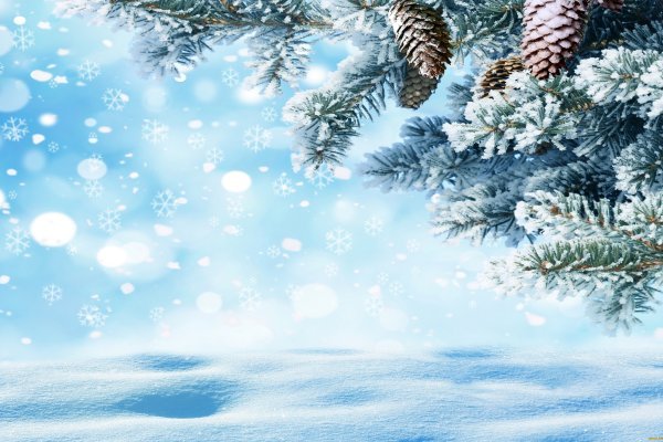 Ссылка на кракен в тор браузере kr2web in