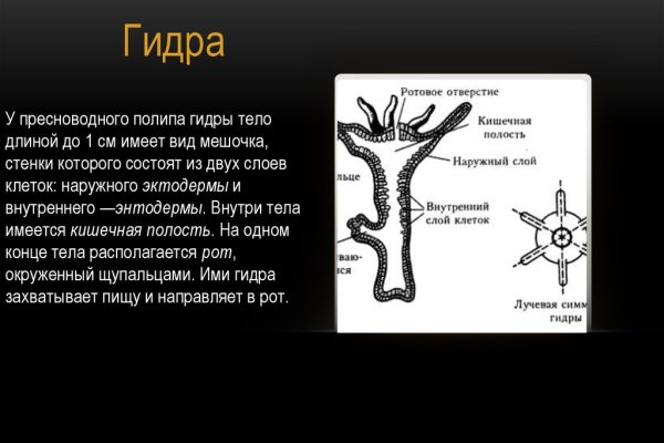 Кракен вход ссылка kraken torion net