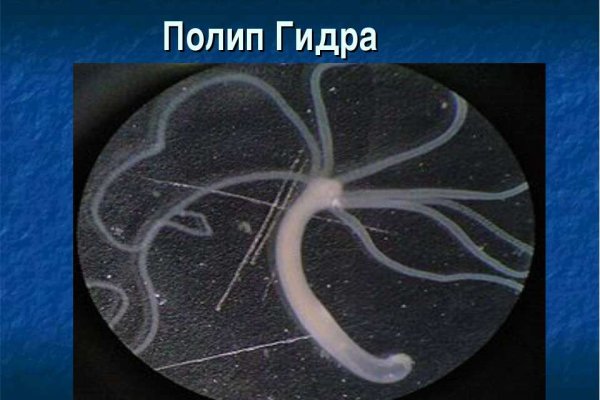 Кракен шоп нарк