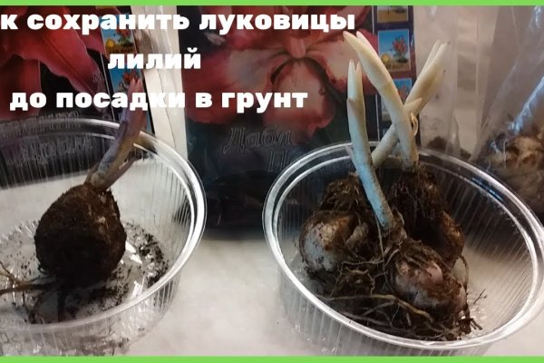 Кракен зеркало прокатис