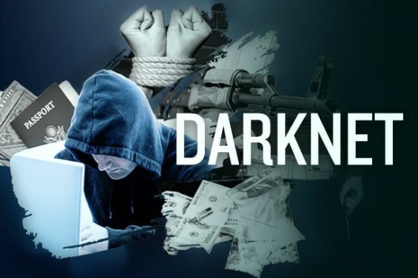Kraken зеркала kr2web in