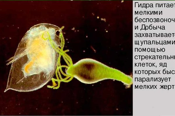 Как зайти на кракен с компа