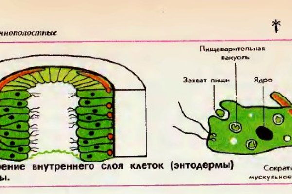 Рабочая ссылка на кракен в торе