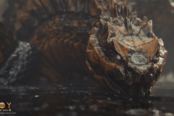 Kraken 12g