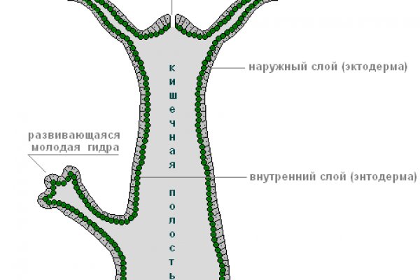 Как зайти на кракен с айфона