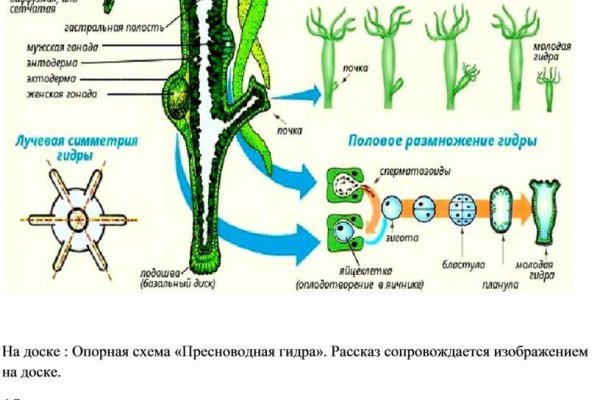Кракен невозможно зарегистрировать пользователя