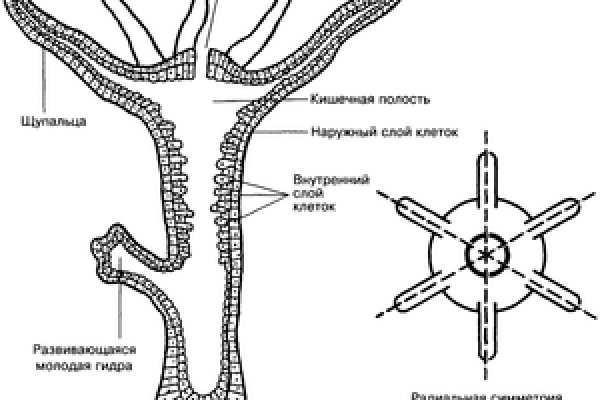 Кракен ссылка тор