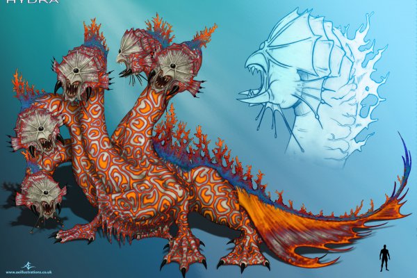 Kraken20at