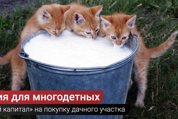 Кракен без впн