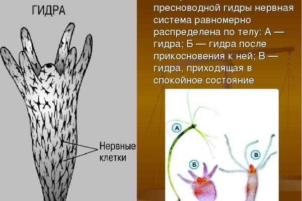 Кракен макет даркнет только через тор