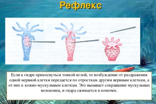 Кракен адрес тор