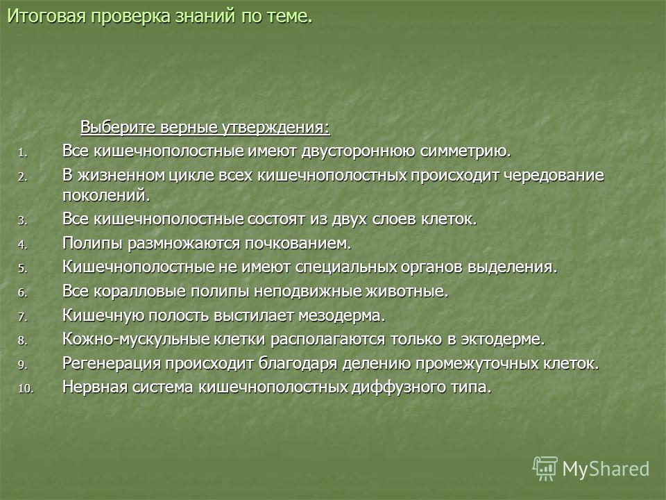 Кракен 22