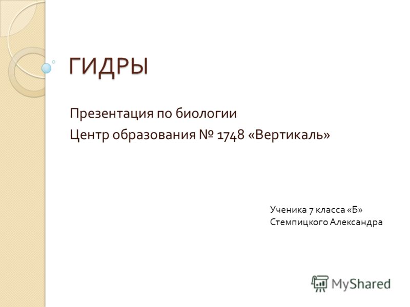 Как подключиться к даркнету